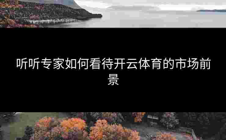 听听专家如何看待开云体育的市场前景
